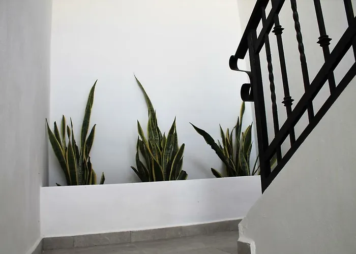 Apartamento Alebrije *